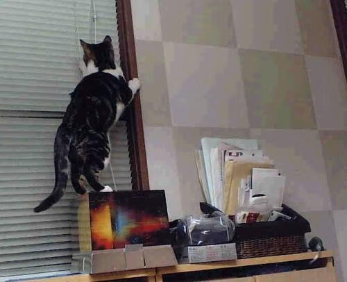 选择(任选其一)