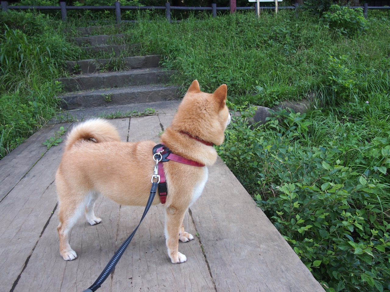 加时赛英雄卡塞米罗!哥斯达黎加绝杀那不勒斯演绎足球奇迹