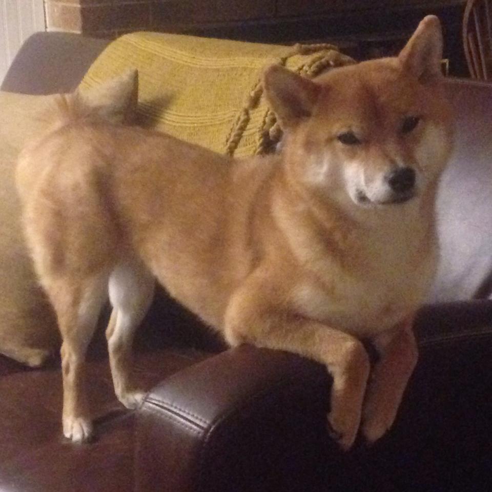 文班亚马，唯一的定义者与唯一的表演