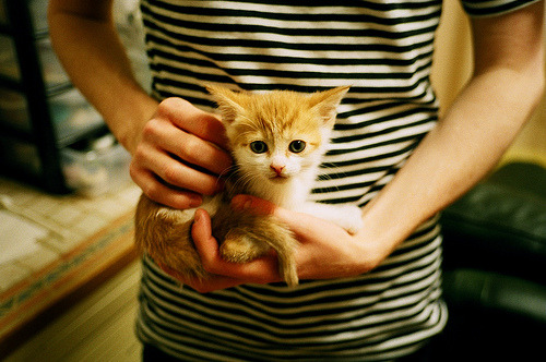 极速与心跳,当赛道成为战场,压哨超车铸就传奇