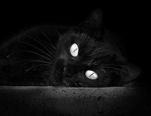 双线战争，当世界杯预选赛哨响，勇士正突破老鹰的围猎