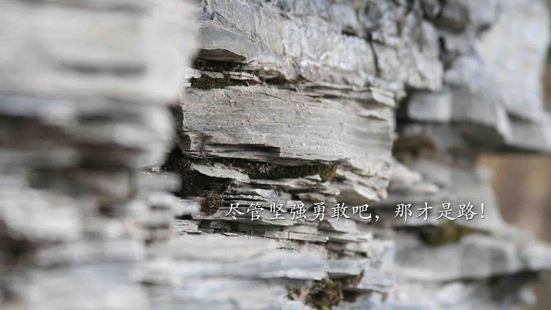 黄金城下蓝军新核觉醒，当坎特的爆发成为精密战术的最后一块拼图