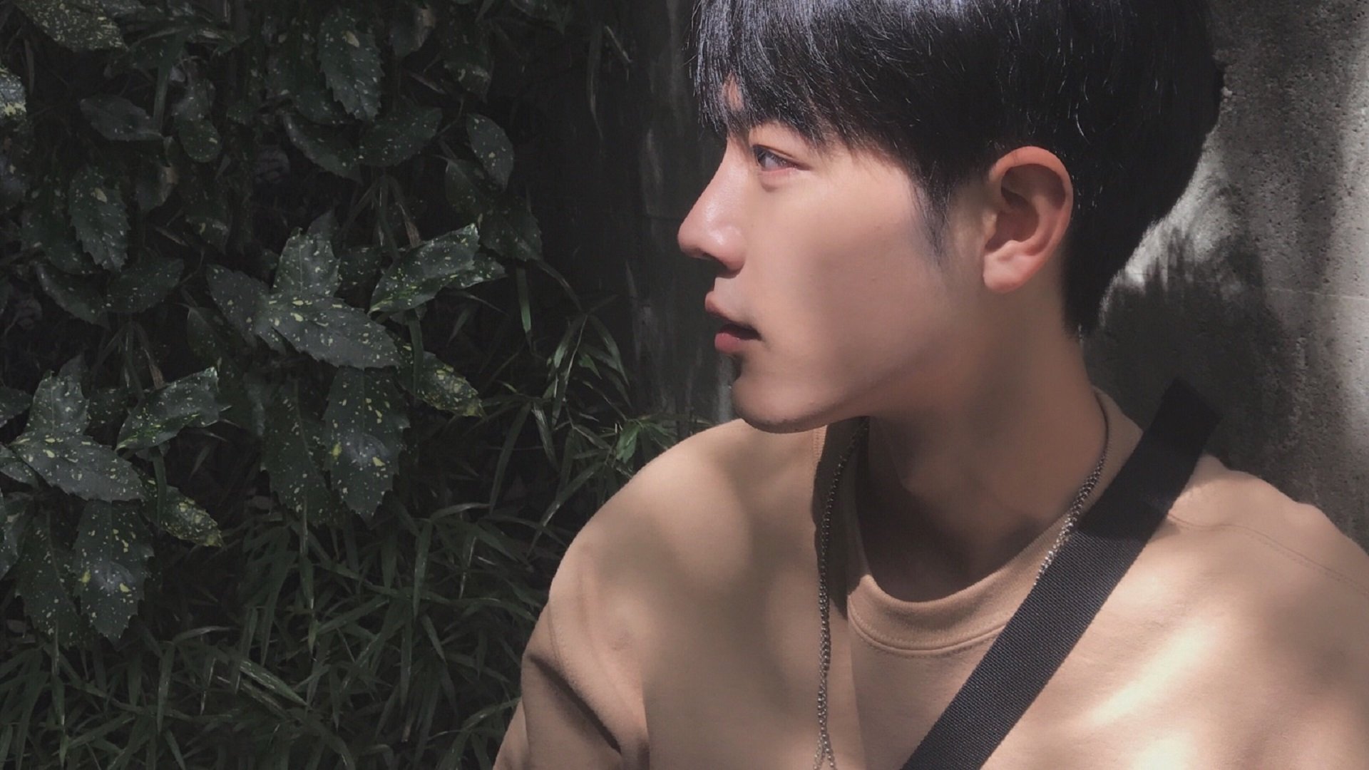 逆转双重奏,塔图姆败中证名与特雷·杨胜中定音的巨星启示录