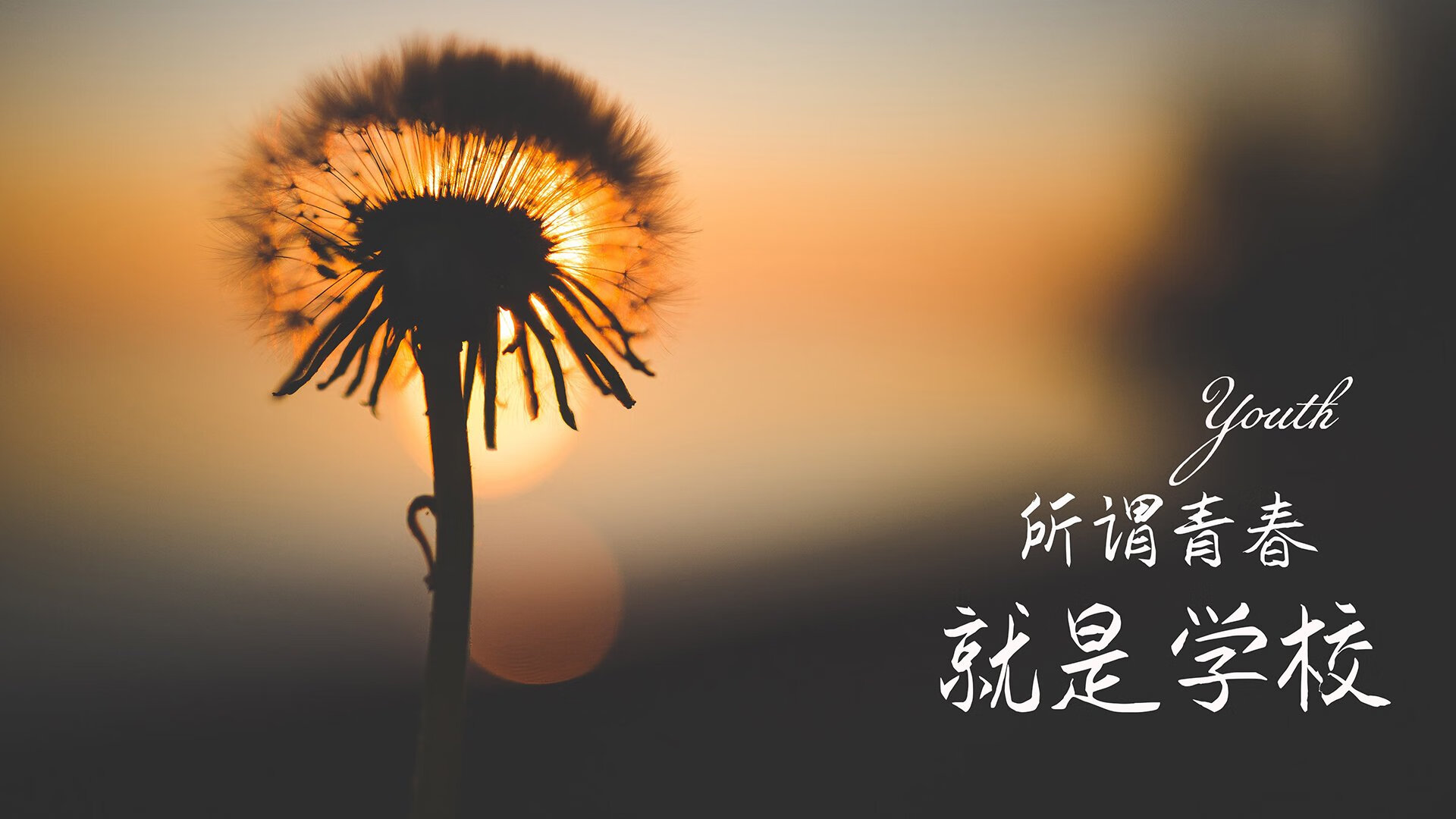 冷夜中的红白闪电，2026世界杯E组，瑞士绝杀阿根廷，萨卡封神之夜与钢铁防线的极致美学