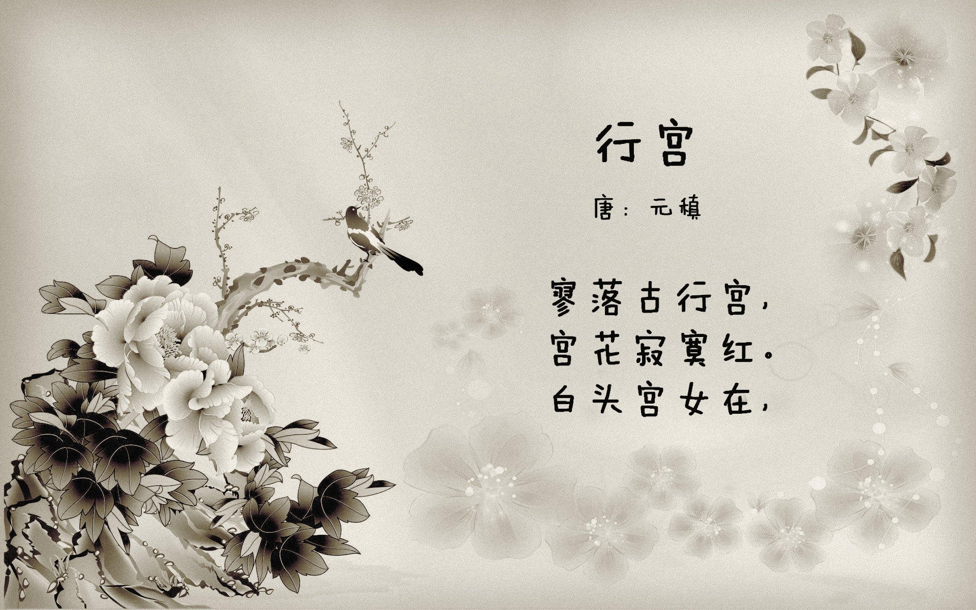 红潮压境，2026世界杯F组焦点战，智利如何用攻守转换的闪电战撕裂美国