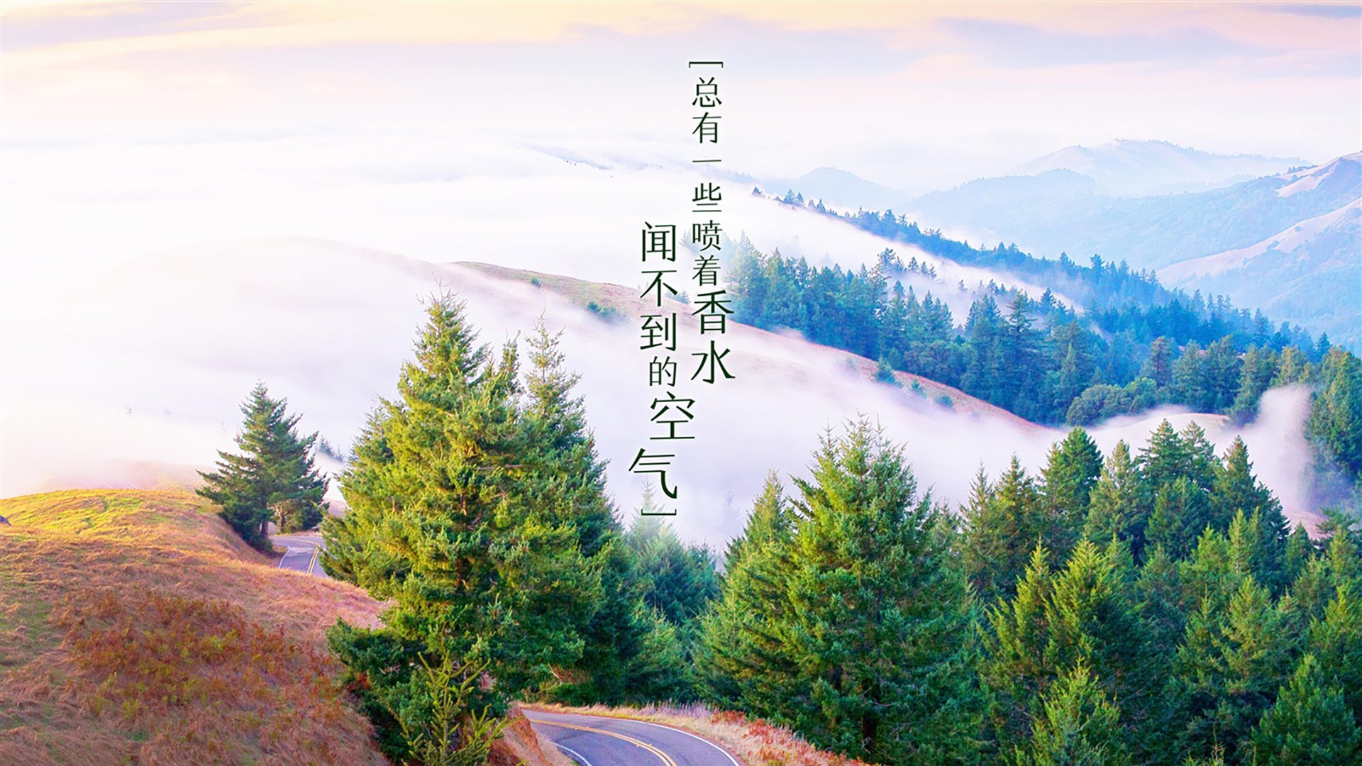 蓝黄风暴席卷多哈,2026世界杯C组波兰血洗瑞典,塔雷米独造三球演绎北欧克星